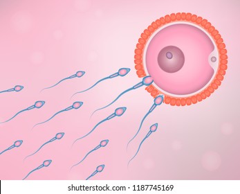 Natural fertilization, sperm and egg cell, vector illustration eps10
