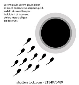 Natural fertilization, sperm and egg cell concept. Vector illustration