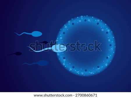 Natural fertilization. Sperm and egg vector illustration. Reproductive medicine health care pregnancy background