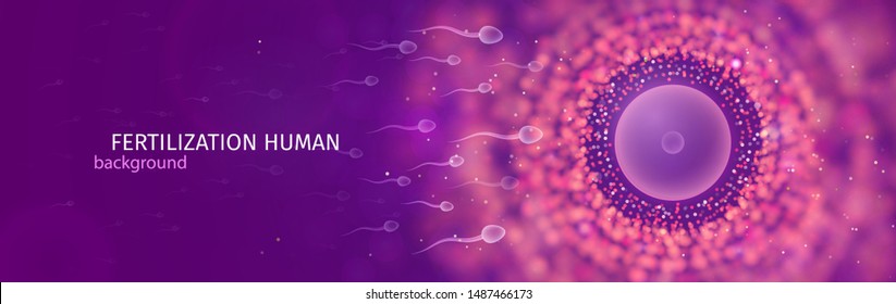 Natural fertilization web banner. Sperm and egg vector illustration. Reproductive medicine health care pregnancy background. EPS 10