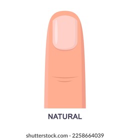 Natural fingernail vector illustration. Cartoon drawing of pink nail shape isolated on white background. Nail art, beauty salon concept