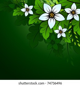 Natural floral background with leaves and flowers