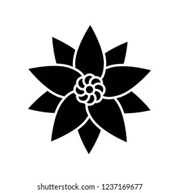 natural floral pattern decoration 
 Christmas solid icon.