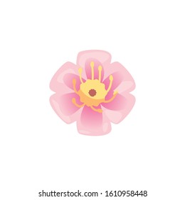 Natural flower design, floral nature plant ornament garden decoration and botany theme Vector illustration