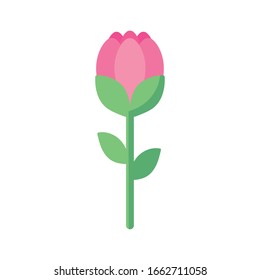 Natural flower flat style icon design, floral nature plant ornament garden decoration and botany theme Vector illustration