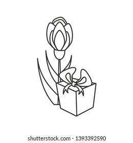 natural flower with gift box present