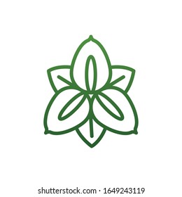 Natural flower gradient style icon design, floral nature plant ornament garden decoration and botany theme Vector illustration