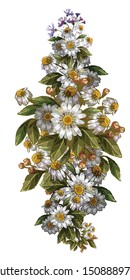 Natural flowers. 