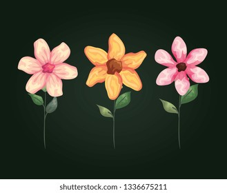 natural flowers with exotic petals and leaves