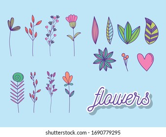 Natural flowers set design, floral nature plant ornament garden decoration and botany theme Vector illustration