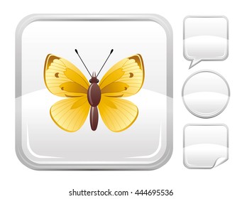 Natural flying insect icon for nature, four seasons, animal wild life, ecological design. Macro butterfly symbol on square background and other blank button forms, speaking bubble, circle, sticker