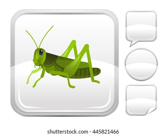 Natural flying insect icon for nature, four seasons, animal wild life or ecological design. Macro grasshopper symbol on square background and other blank button forms, speaking bubble, circle, sticker