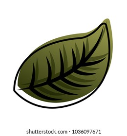 natural foliage leaf botanical icon