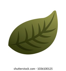 natural foliage leaf botanical icon