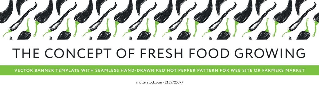 Natural food growing. Vector banner template. Seamless red hot pepper hand-drawn pattern. Restaurant flyer, rural poster, sign. rustic farmers market banner. Chili peppers label. Organic product.