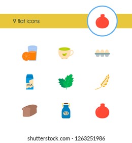 Natural food icon set and green tea with pomegranate, fruit juice and oat wheat. Egg tray related natural food icon vector for web UI logo design.