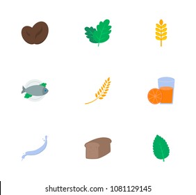 Natural food icon set and milk splash with spike wheat, bakery and coffee bean. Grain related natural food icon vector for web UI logo design.