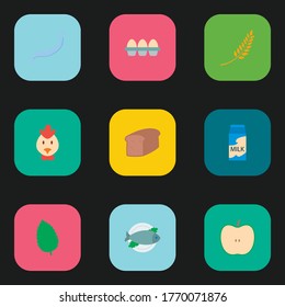 Natural food icon set and milk splash with oat wheat, seafood and egg. Lactose related natural food icon vector for web UI logo design.