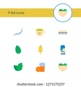 Natural food icon set and organic food with milk splash, green tea and fruit juice. Lactose related natural food icon vector for web UI logo design.