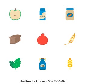 Natural food icon set and spike wheat with farm milk, milk box and peanut butter. Metal bucket milk related natural food icon vector for web UI logo design.