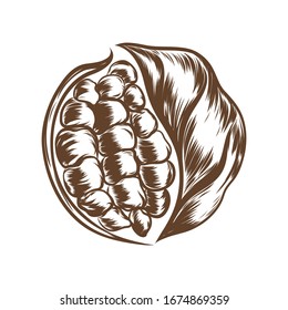 Natural food logo template, sketch cocoa beans and brown spots. Artistic modern design and logo. vector illustration.