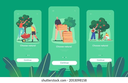 Natural Food Mobile App Page Onboard Screen Template. Characters Harvesting Apples in Garden or Orchard, Gardeners Collecting Fruit Crop, Agriculture Concept. Cartoon People Vector Illustration