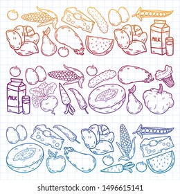 natural food - vector background with icons in sketch style. doodles elements