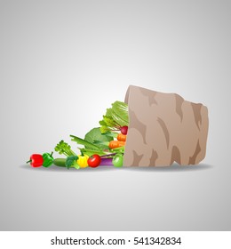 Natural food is very good organic vegetables in paper bag concept 