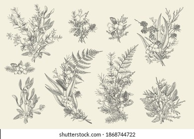 Los ramos de decoración de los bosques naturales. Arreglos florales. Evergreens, coníferas, bayas, hojas, espinas, conos. Ilustración vectorial. Blanco y negro.