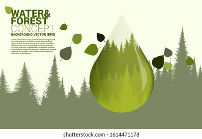 Natural forest inside drop water. background for take care and save the environment. Forest and water theme.