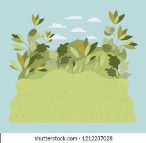 natural forest landscape scene