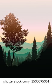 Natural forest mountains horizon trees Landscape wallpaper Sunrise and sunset Illustration vector style Colorful view background