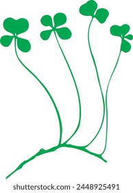 Natural Four-Leaf Clovers Attached to its Vine Silhouette (Vectorized).