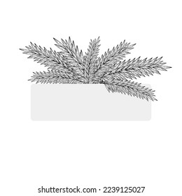 Marco natural, fondo de ramas de árboles de Navidad. Dibujo manual de contorno. Para saludos, invitaciones, postales