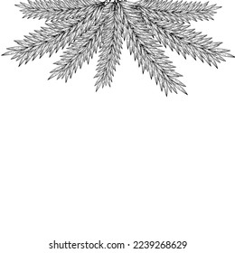 Natural frame, background of Christmas tree branches. Contour hand drawing. For greetings, invitations, postcards