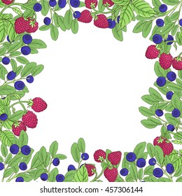 Natural frame of branches of raspberry and blueberry with berries on a white background. Branches dark outline drawn by hand and painted bright colors. Vector illustration