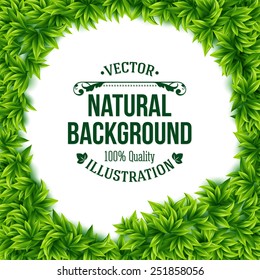 Natural frame of fresh green spring leaves surrounding a central copyspace with a white background and editable text in square format, vector illustration