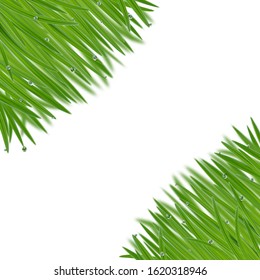 Natural frame from grass with bokeh effect