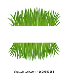 Natural frame from grass with bokeh effect