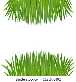 Natural frame from grass with bokeh effect