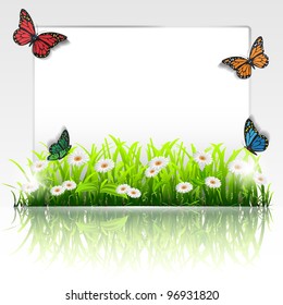 Natural frame with grass,chamomiles and butterflies.Vector eps 10