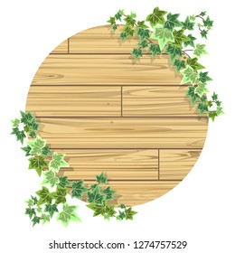 Natural frame of wooden board and ivy 02