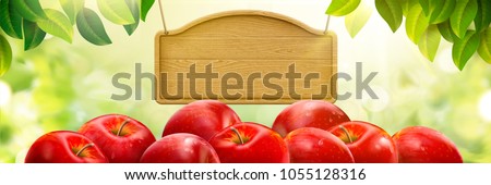 Similar – Image, Stock Photo Apple on green plate Fruit