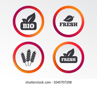 Natural fresh Bio food icons. Gluten free agricultural sign symbol. Infographic design buttons. Circle templates. Vector