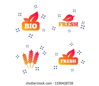 Natural fresh Bio food icons. Gluten free agricultural sign symbol. Random dynamic shapes. Gradient bio icon. Vector