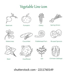 Natürliche, gesunde pflanzliche Vektorgrafik oder handgezeichnete Ikongrafik - vegetarische Küche