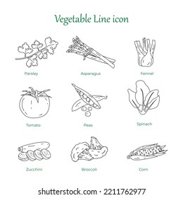Natural fresh healthy vegetable vector line art or hand drawn icon set - Food and Drink
