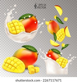 Mango fresco natural en un batido de leche o yogur. Conjunto de frutos maduros realistas. Piezas de mango y rodajas cayendo en la leche. 3.ª ilustración vectorial realista