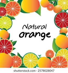 Natural fresh orange fruit vector illustration.