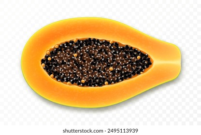 Natural fresh papaya half with seeds. Fruits papaw isolated on transparent background. Tropical, exotic fruit. Realistic 3d vector illustration.